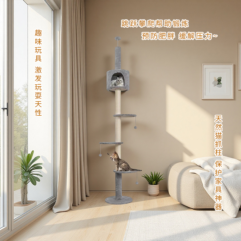 产品详情