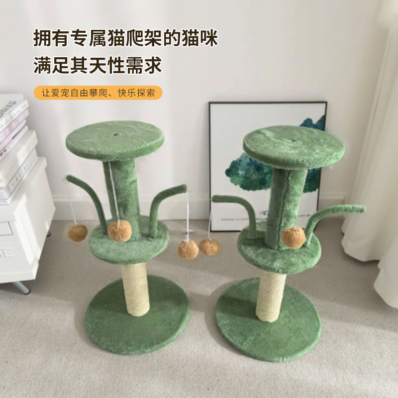 产品详情